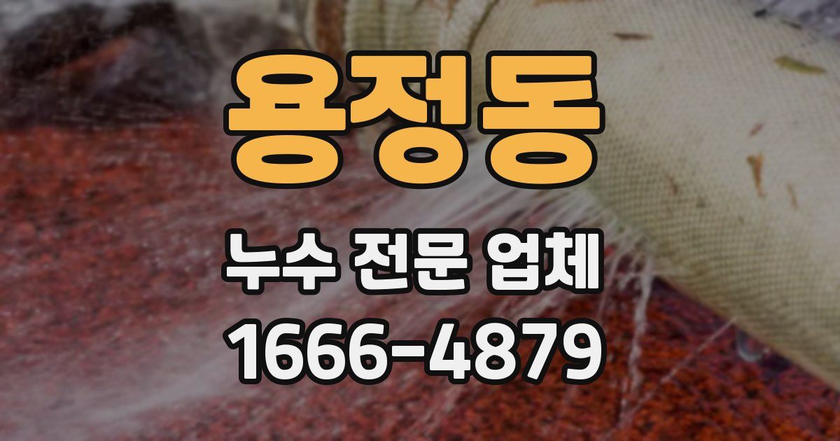 용정동 누수 전문 업체