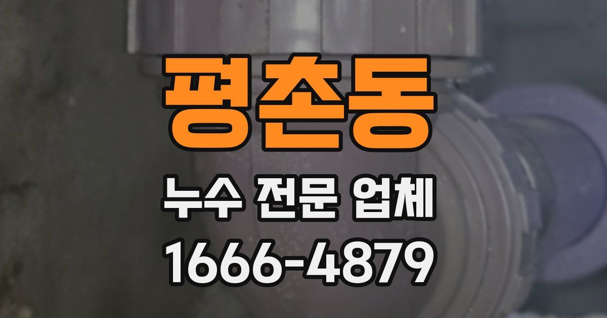 평촌동 누수 전문 업체
