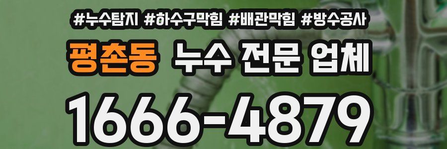 평촌동 누수 전문 업체