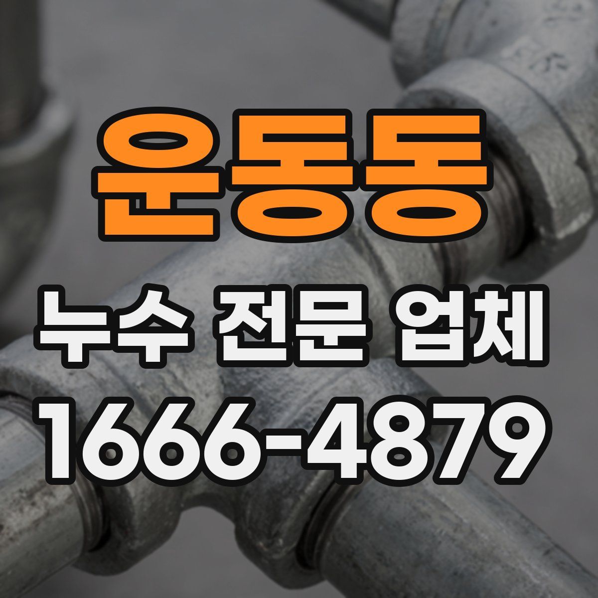 운동동 누수 전문 업체