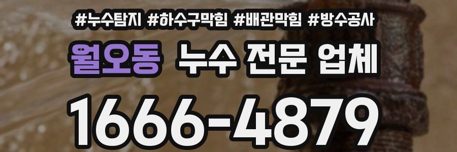 월오동 누수 전문 업체
