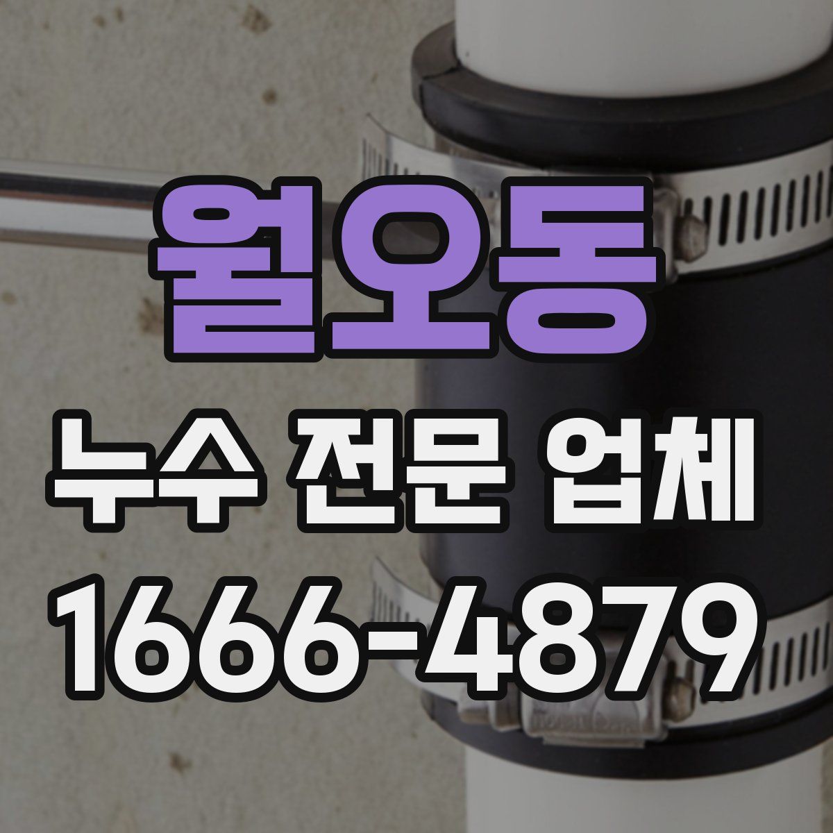 월오동 누수 전문 업체