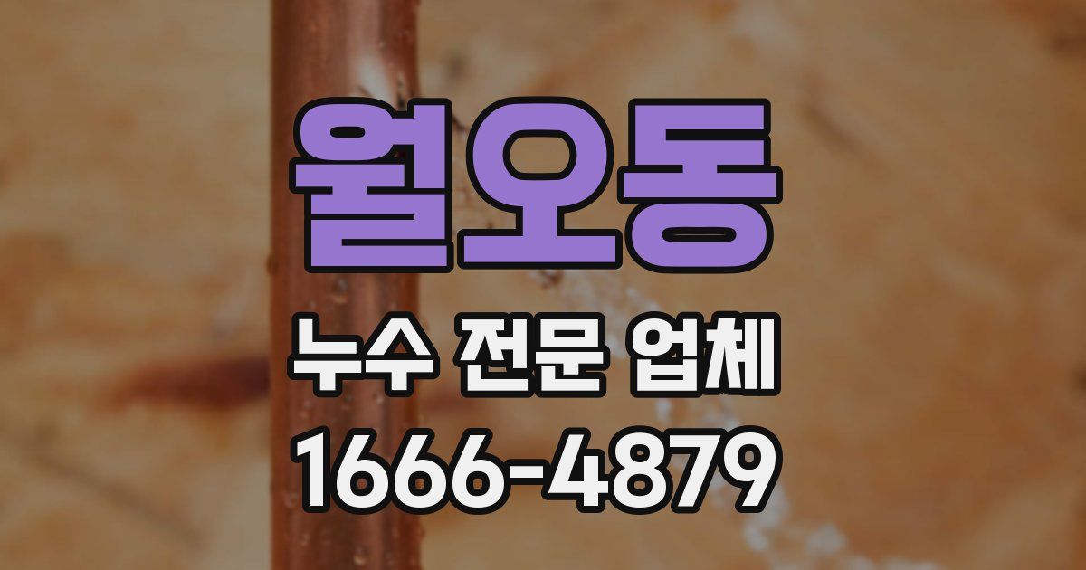 월오동 누수 전문 업체