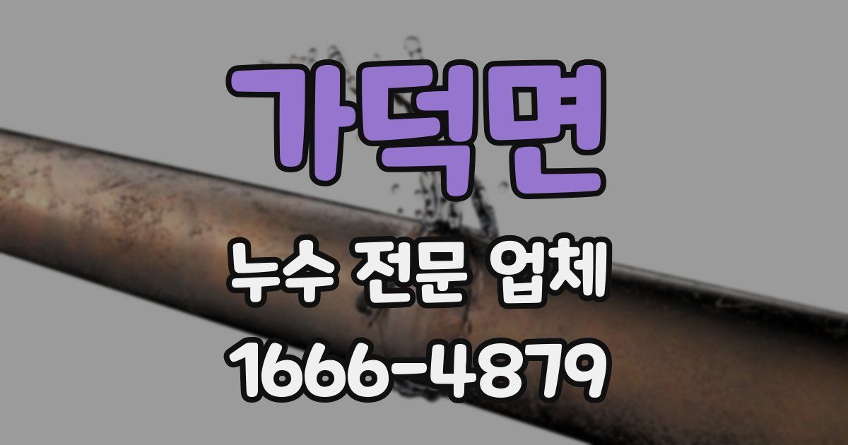 가덕면 누수 전문 업체