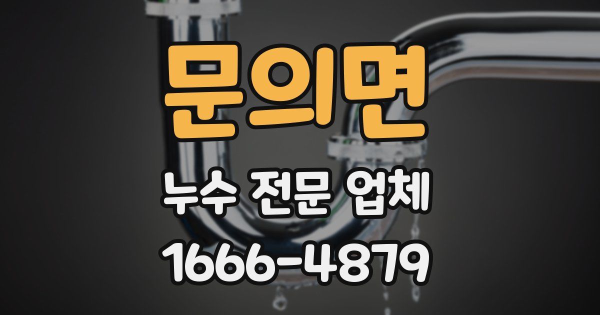 문의면 누수 전문 업체