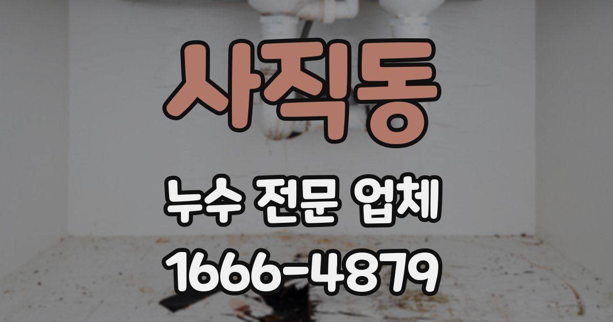 사직동 누수 전문 업체