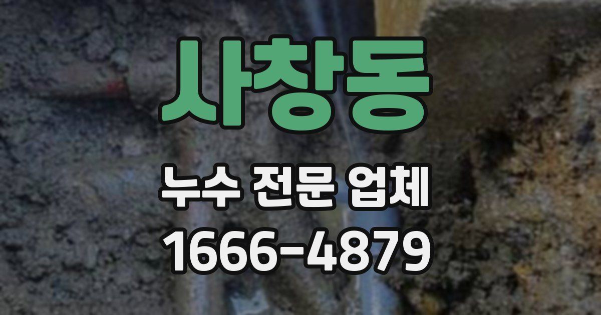 사창동 누수 전문 업체