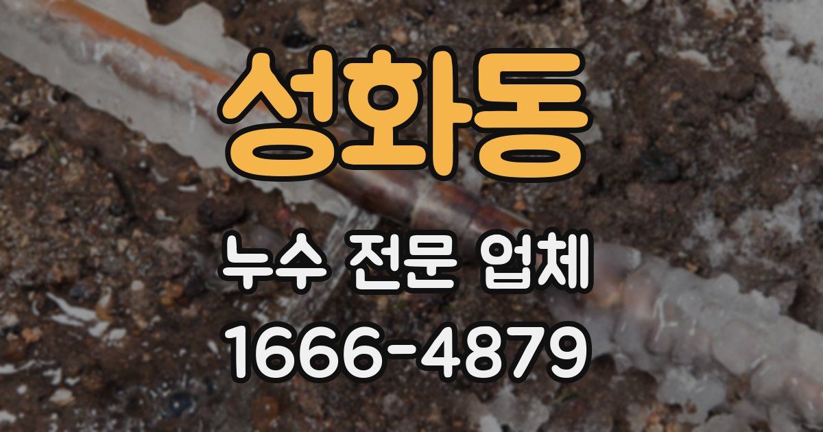 성화동 누수 전문 업체
