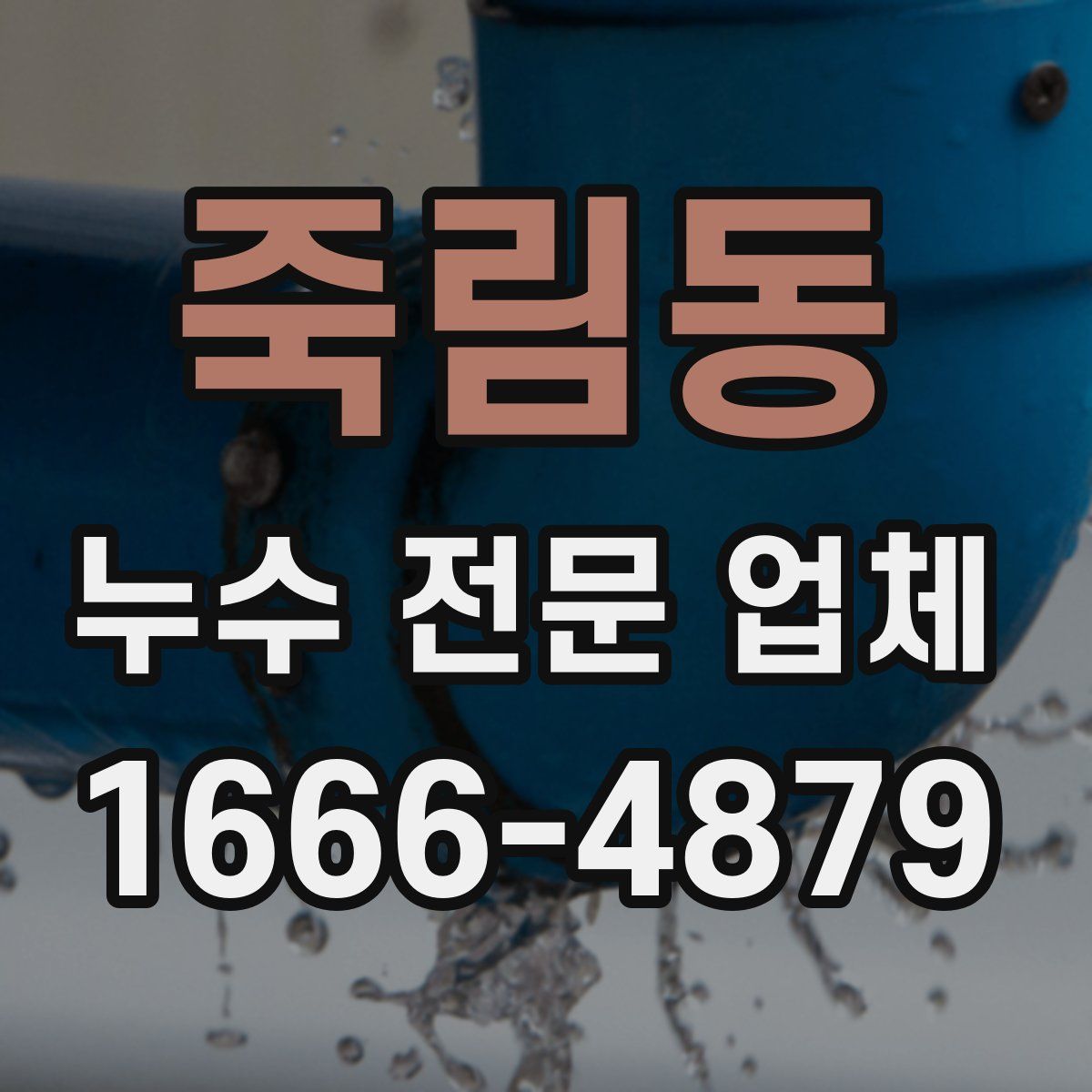 죽림동 누수 전문 업체