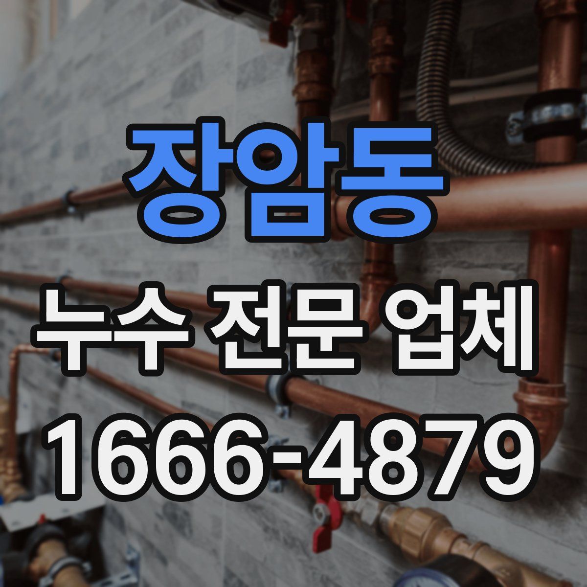 장암동 누수 전문 업체