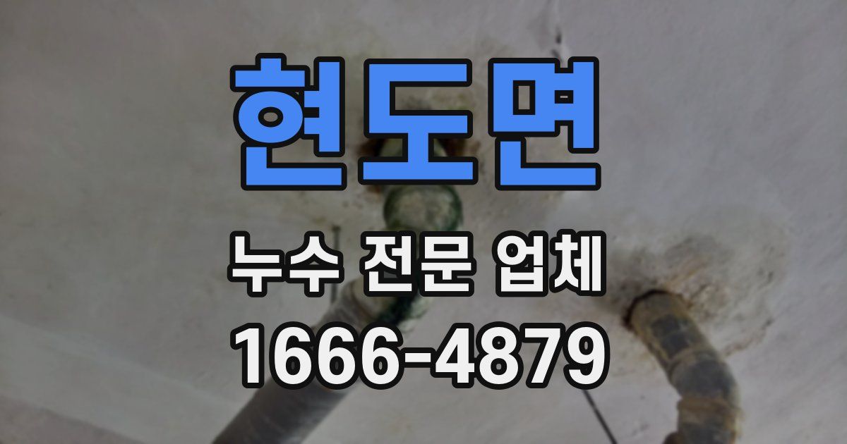 현도면 누수 전문 업체
