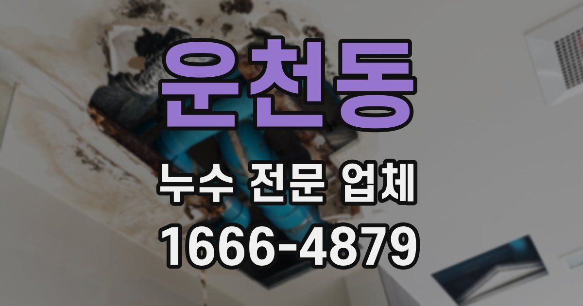 운천동 누수 전문 업체