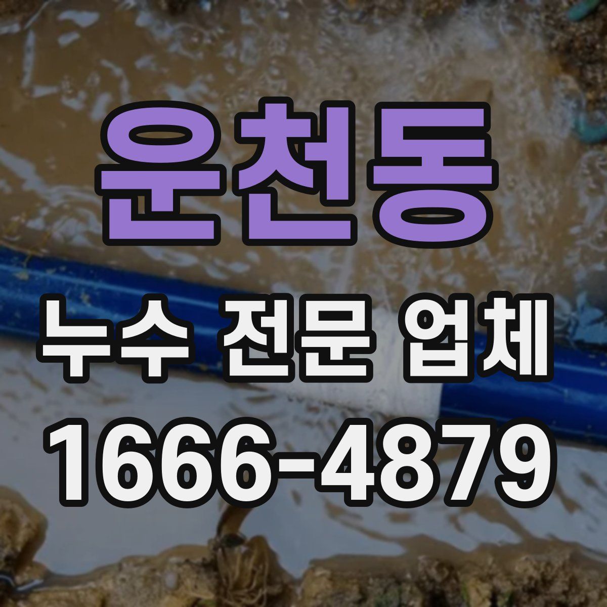 운천동 누수 전문 업체