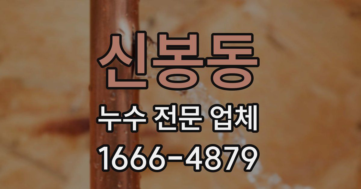 신봉동 누수 전문 업체