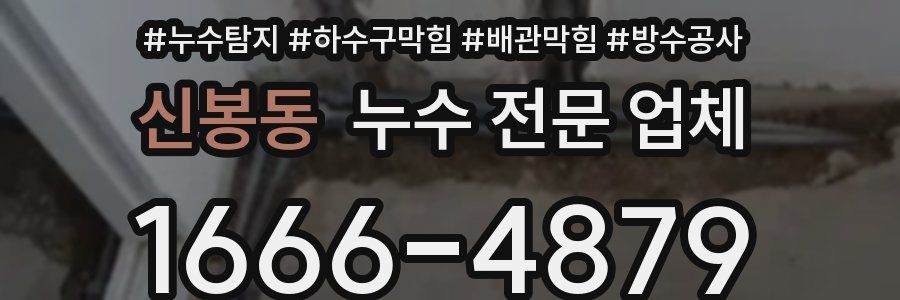 신봉동 누수 전문 업체
