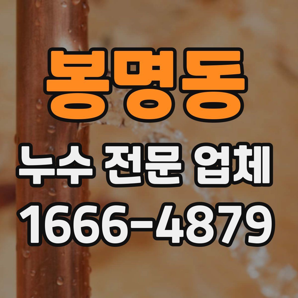 봉명동 누수 전문 업체