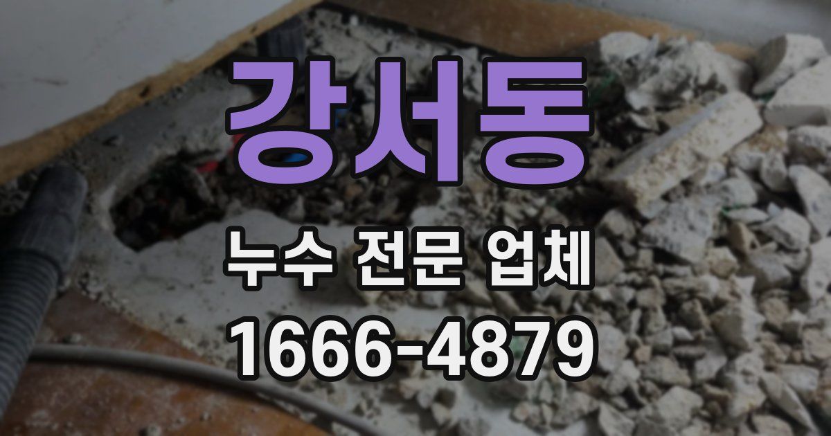 강서동 누수 전문 업체