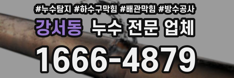 강서동 누수 전문 업체