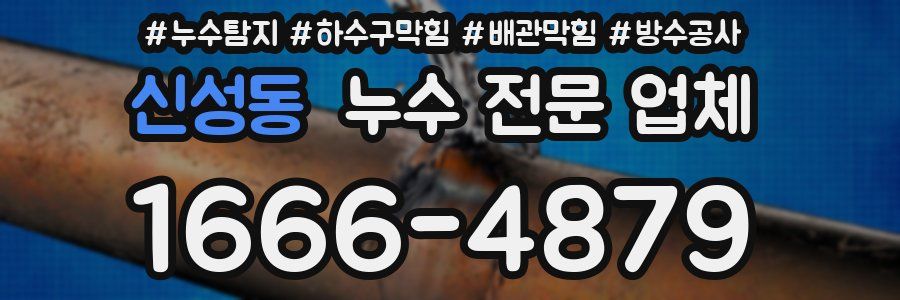신성동 누수 전문 업체