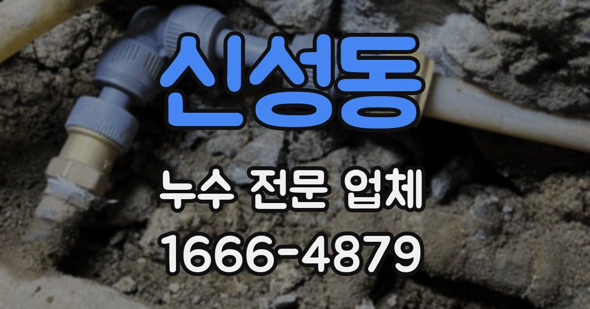 신성동 누수 전문 업체
