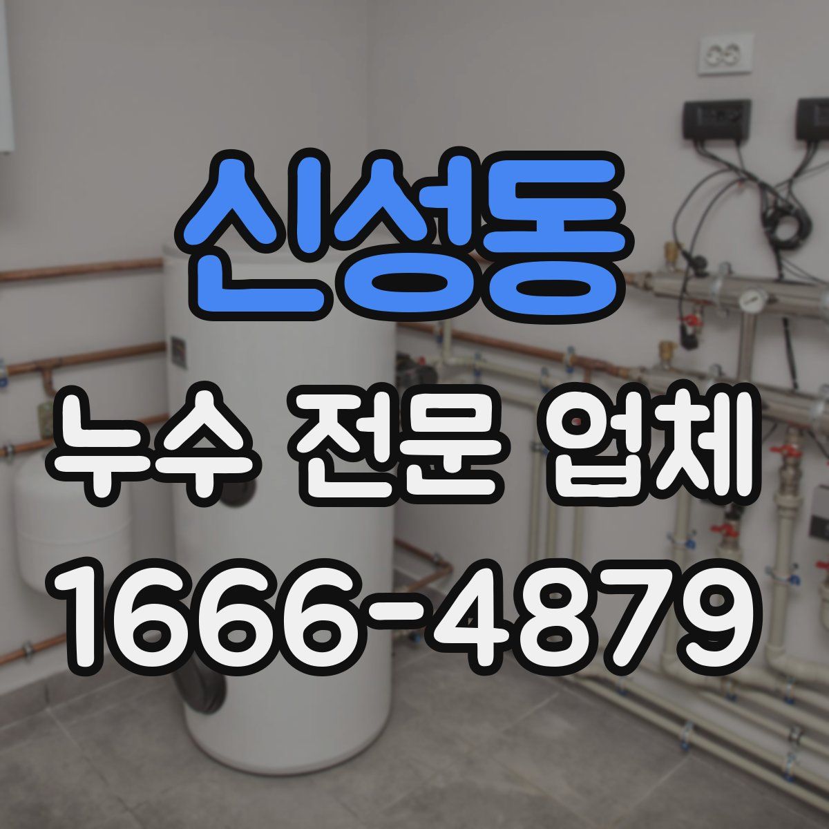 신성동 누수 전문 업체