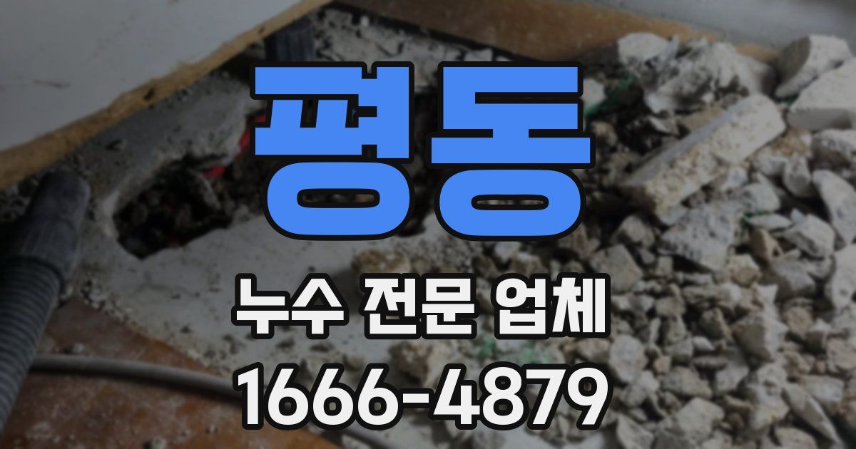 평동 누수 전문 업체