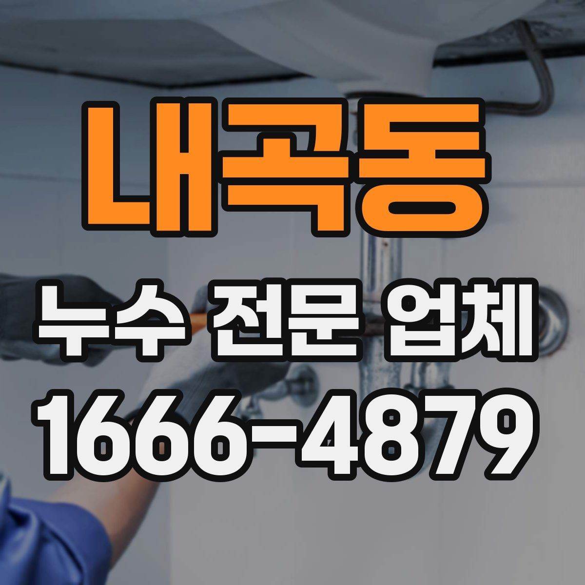 내곡동 누수 전문 업체