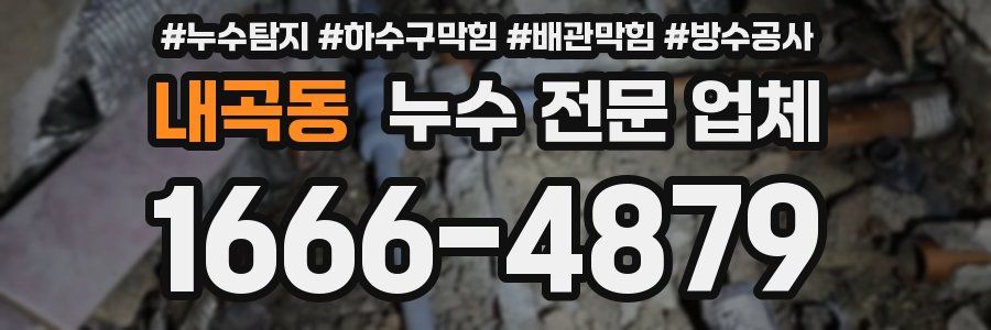 내곡동 누수 전문 업체