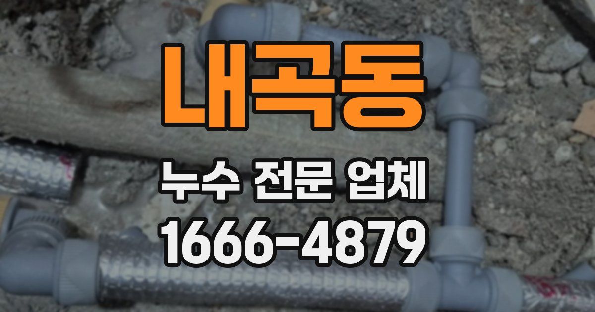 내곡동 누수 전문 업체