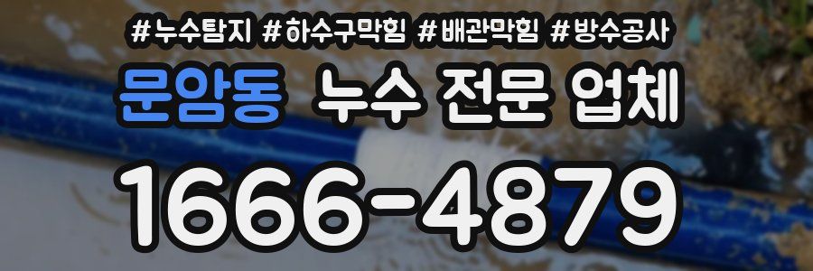 문암동 누수 전문 업체