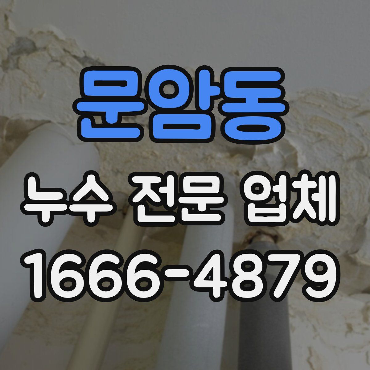 문암동 누수 전문 업체