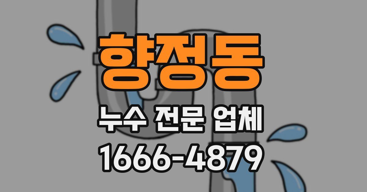 향정동 누수 전문 업체