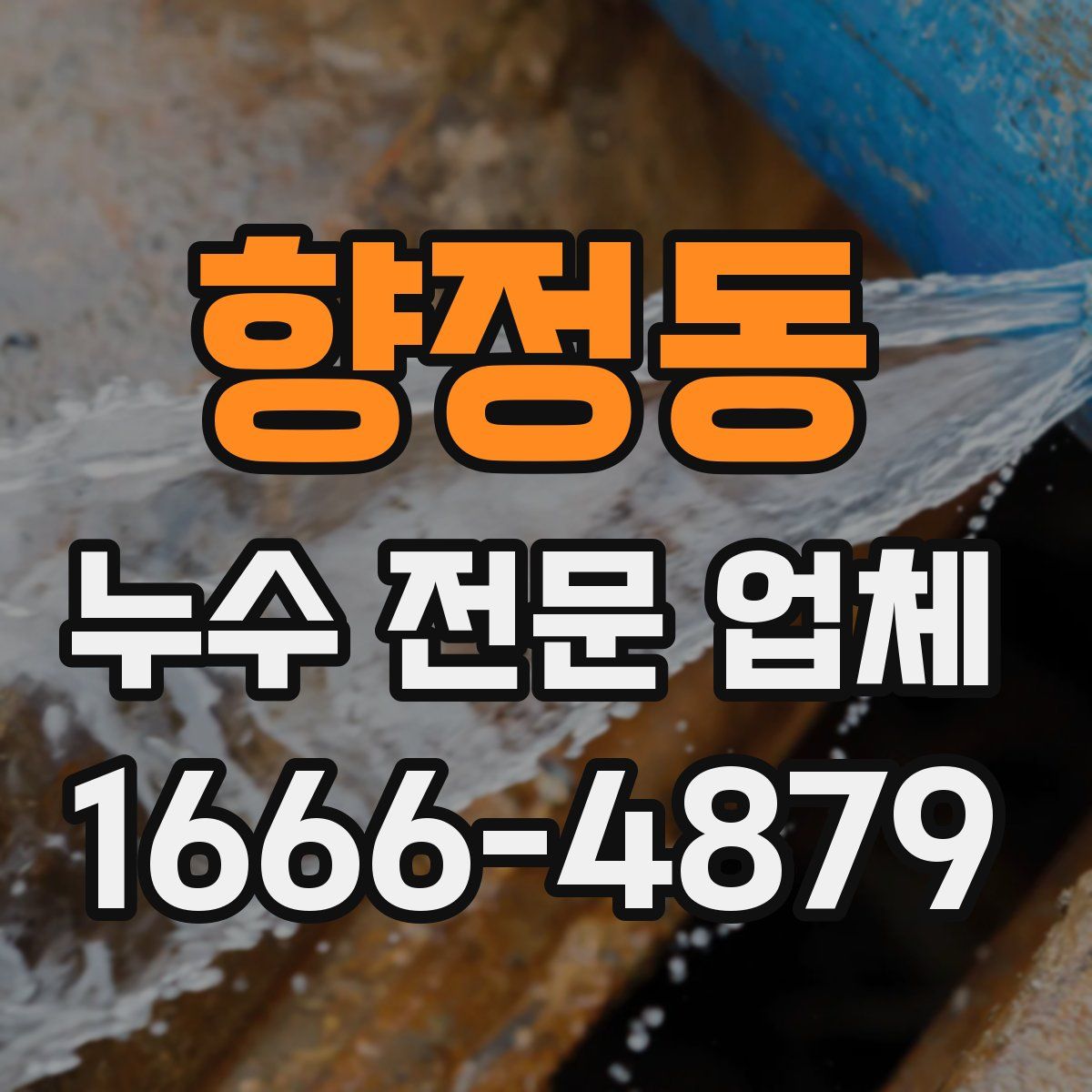 향정동 누수 전문 업체