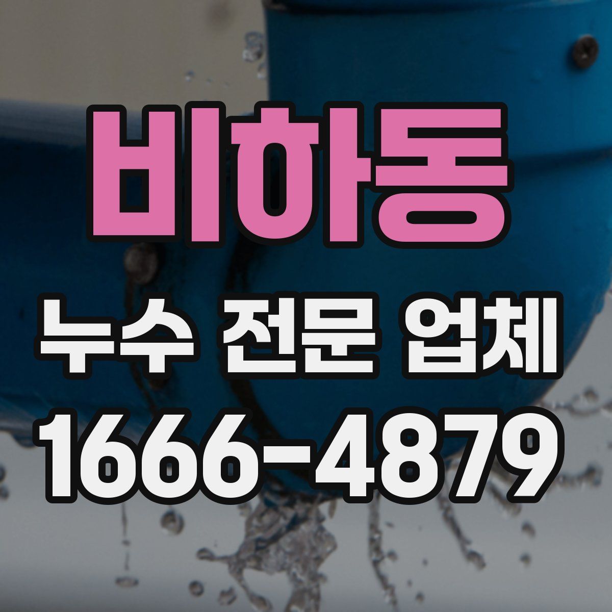 비하동 누수 전문 업체