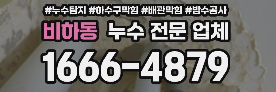 비하동 누수 전문 업체