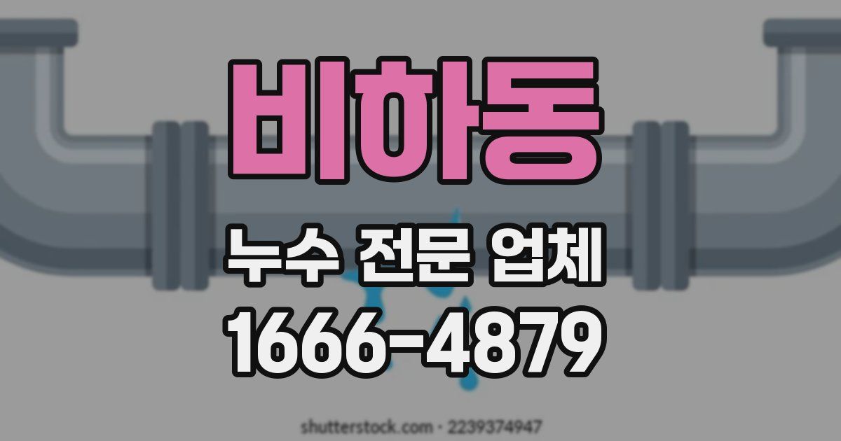 비하동 누수 전문 업체