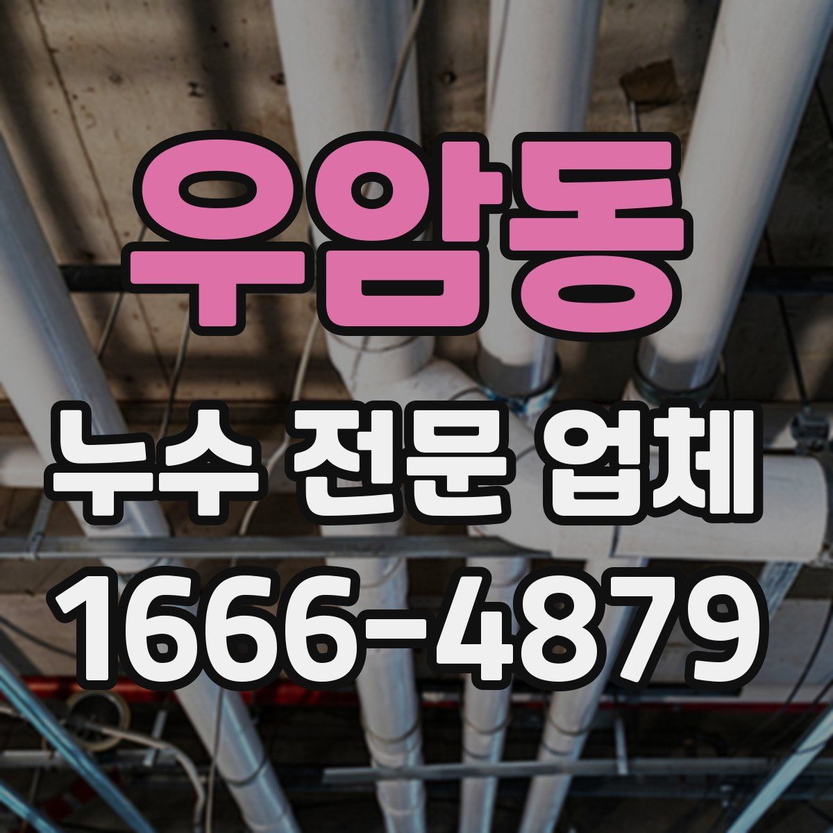 우암동 누수 전문 업체