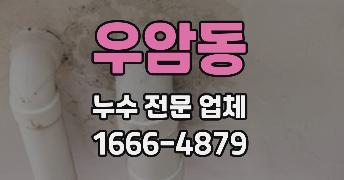 우암동 누수 전문 업체