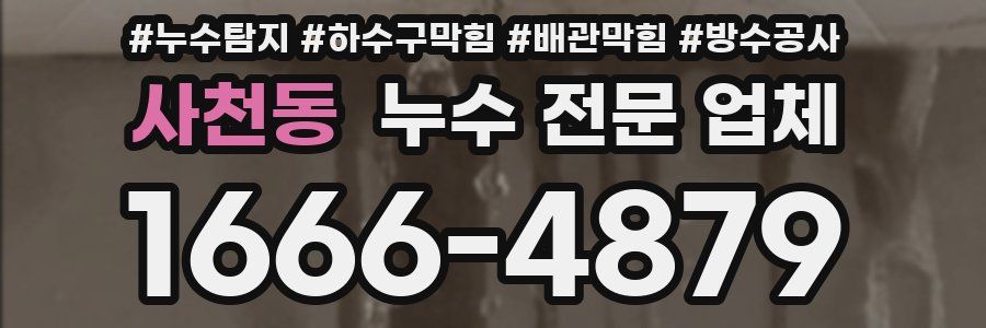 사천동 누수 전문 업체