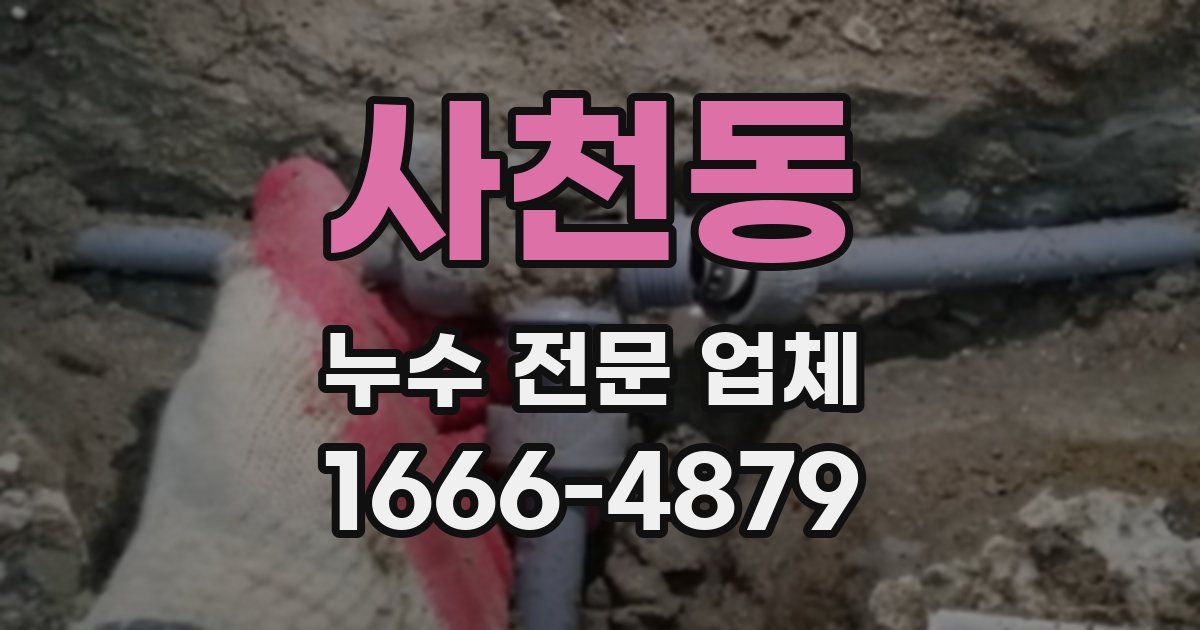사천동 누수 전문 업체