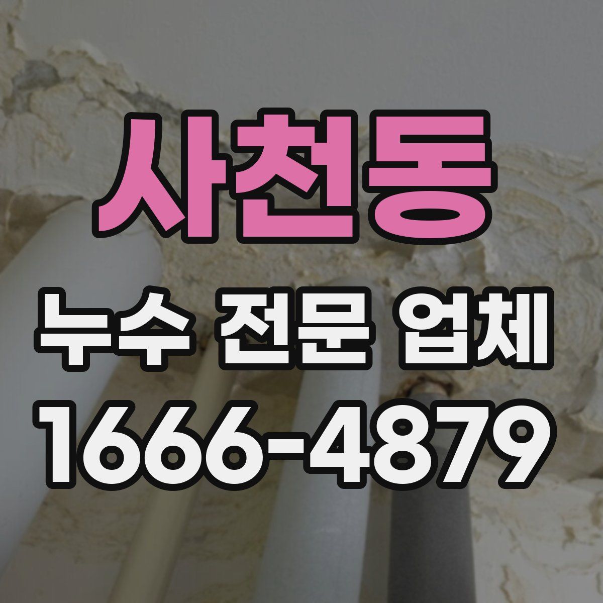 사천동 누수 전문 업체