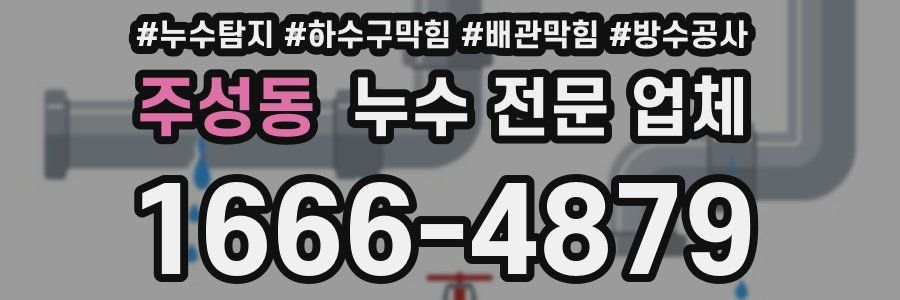 주성동 누수 전문 업체