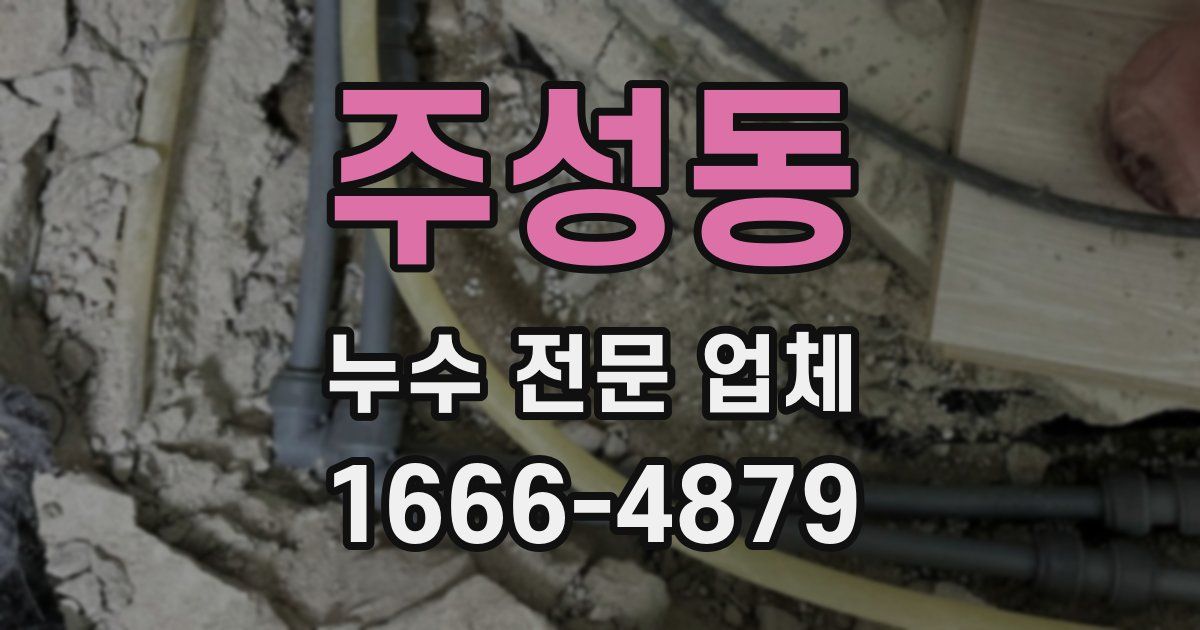 주성동 누수 전문 업체