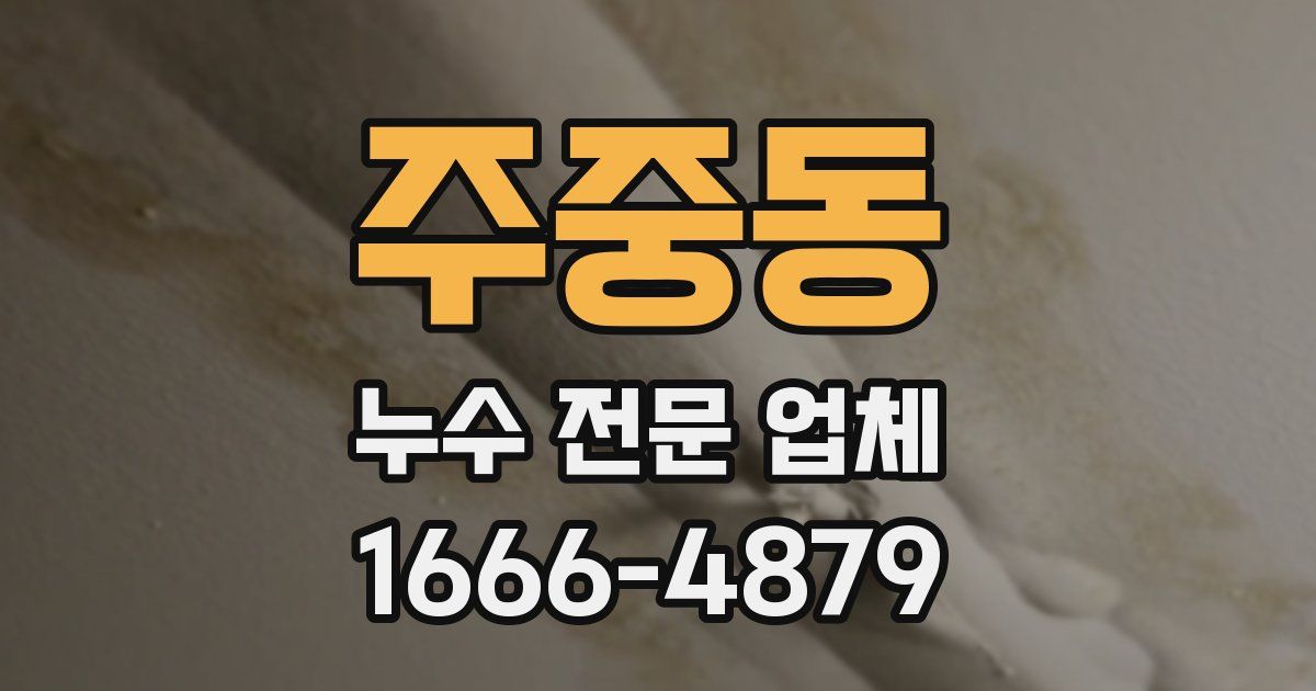 주중동 누수 전문 업체