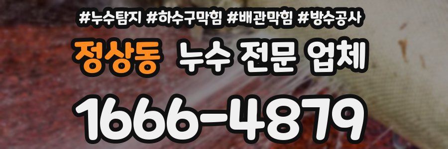 정상동 누수 전문 업체