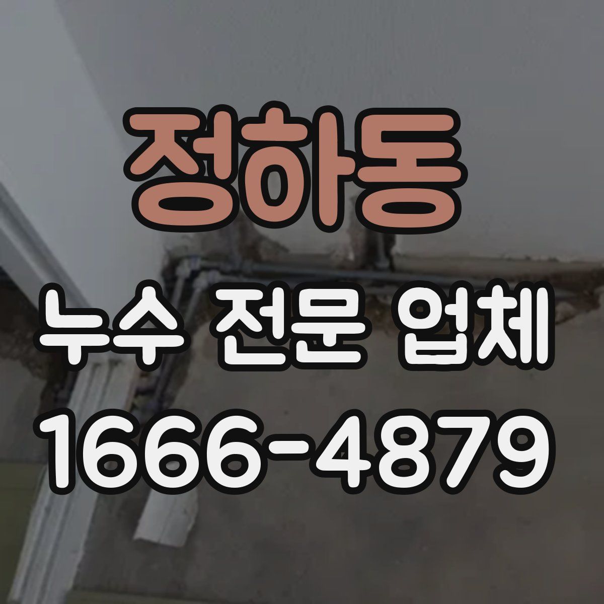 정하동 누수 전문 업체