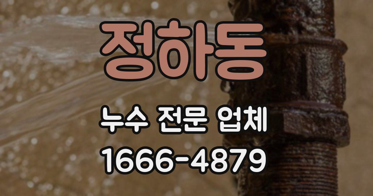 정하동 누수 전문 업체