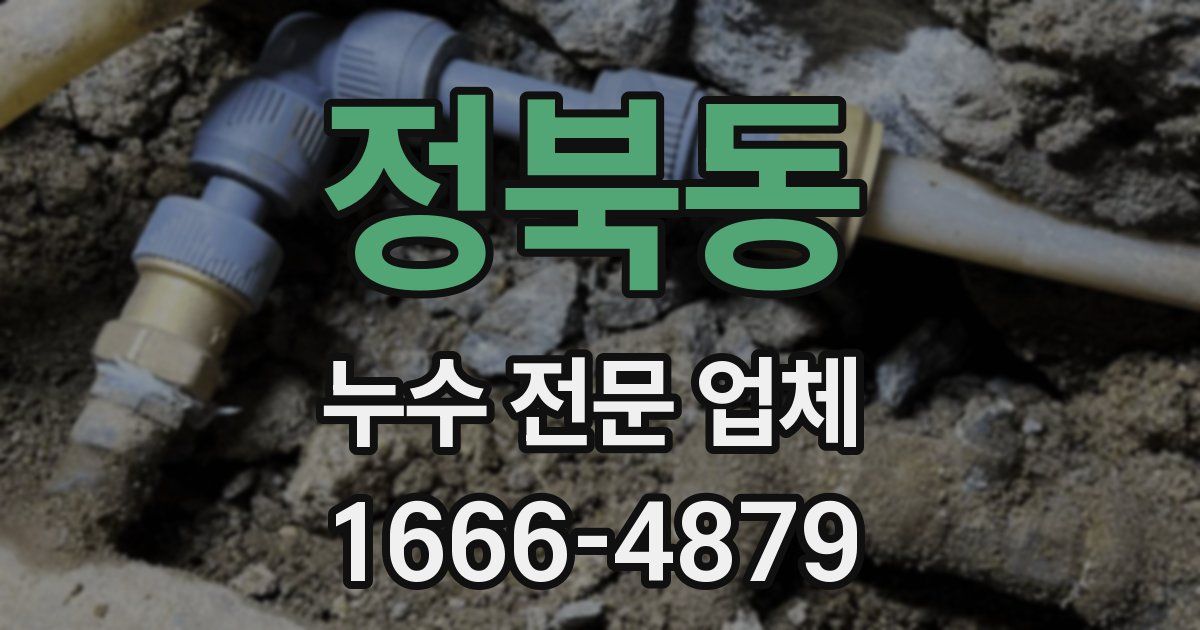 정북동 누수 전문 업체