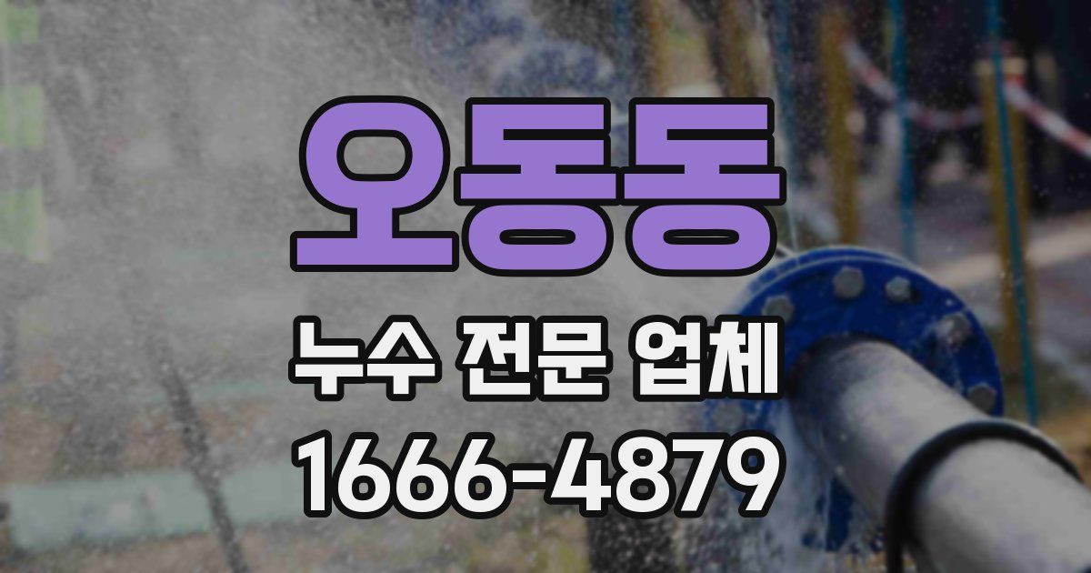 오동동 누수 전문 업체