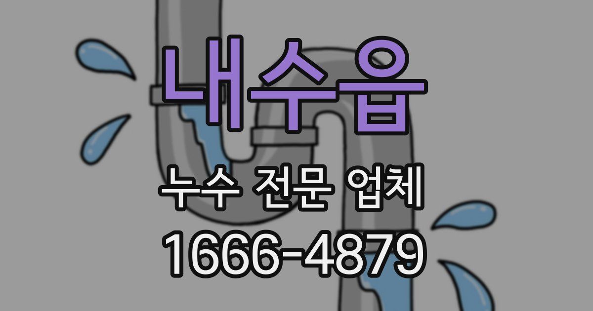 내수읍 누수 전문 업체